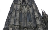 IMG_2495