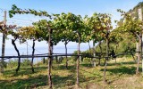 IMG_20221013_1048562