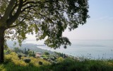 IMG_20221013_105522