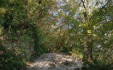 IMG_20221013_110639