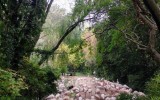 IMG_20221015_1152522
