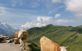 IMG_20240812_103351