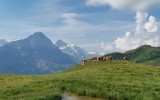 IMG_20240812_103821