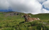 IMG_20240812_104608