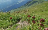 IMG_20240812_125458
