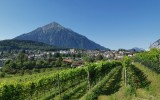 IMG_20240813_103238