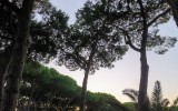 IMG_20240928_1847522