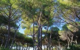 IMG_20240930_092054