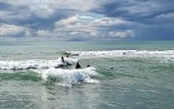 IMG_20241001_163836