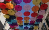 IMG_20250811_101955
