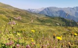 IMG_20250812_101412