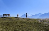 IMG_20250812_105848
