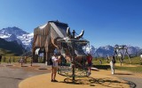 IMG_20250812_105849