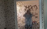 IMG_20250308_202951