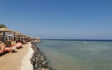 IMG_20250309_134347