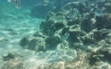 IMG_20250310_114740