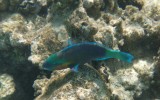 IMG_20250310_114920