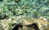 IMG_20250310_115222