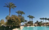 IMG_20250310_134238