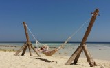 IMG_20250313_112730