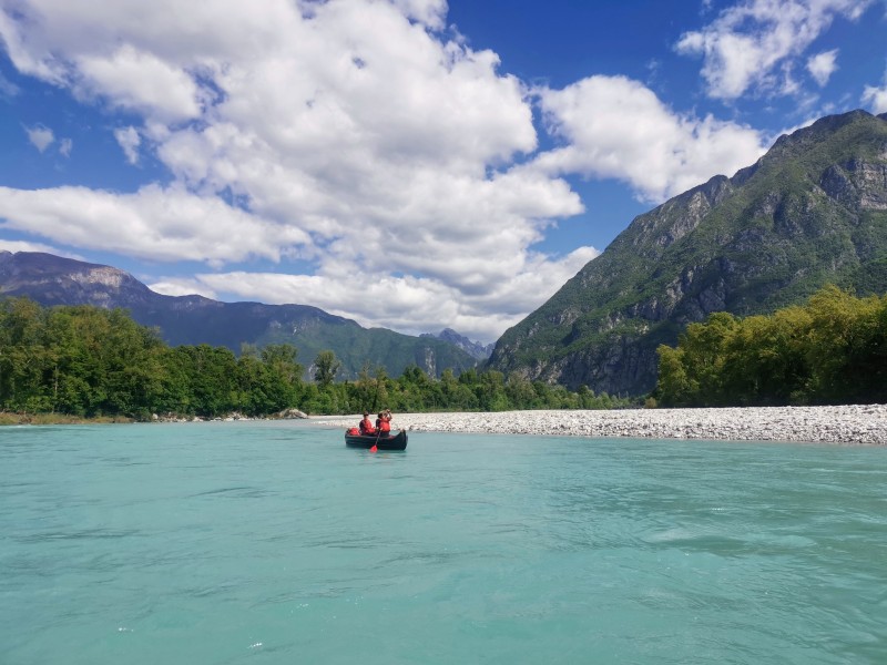 IMG_20250516_104417_1