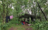 IMG_20250515_175331