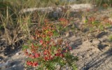 IMG_20250516_184811