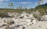IMG_20250516_184812
