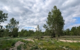 PXL_20260505_155719333