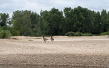 PXL_20260506_091918127