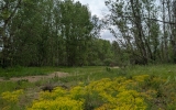 PXL_20260506_153051601