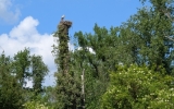 PXL_20260507_124405961