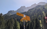 PXL_20260809_104330138