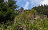 PXL_20260810_104554986