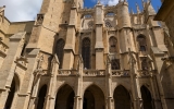 PXL_20260515_101434136