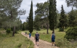 PXL_20260518_101450951