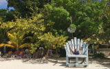 IMG_20240201_1405262