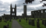 img_5350